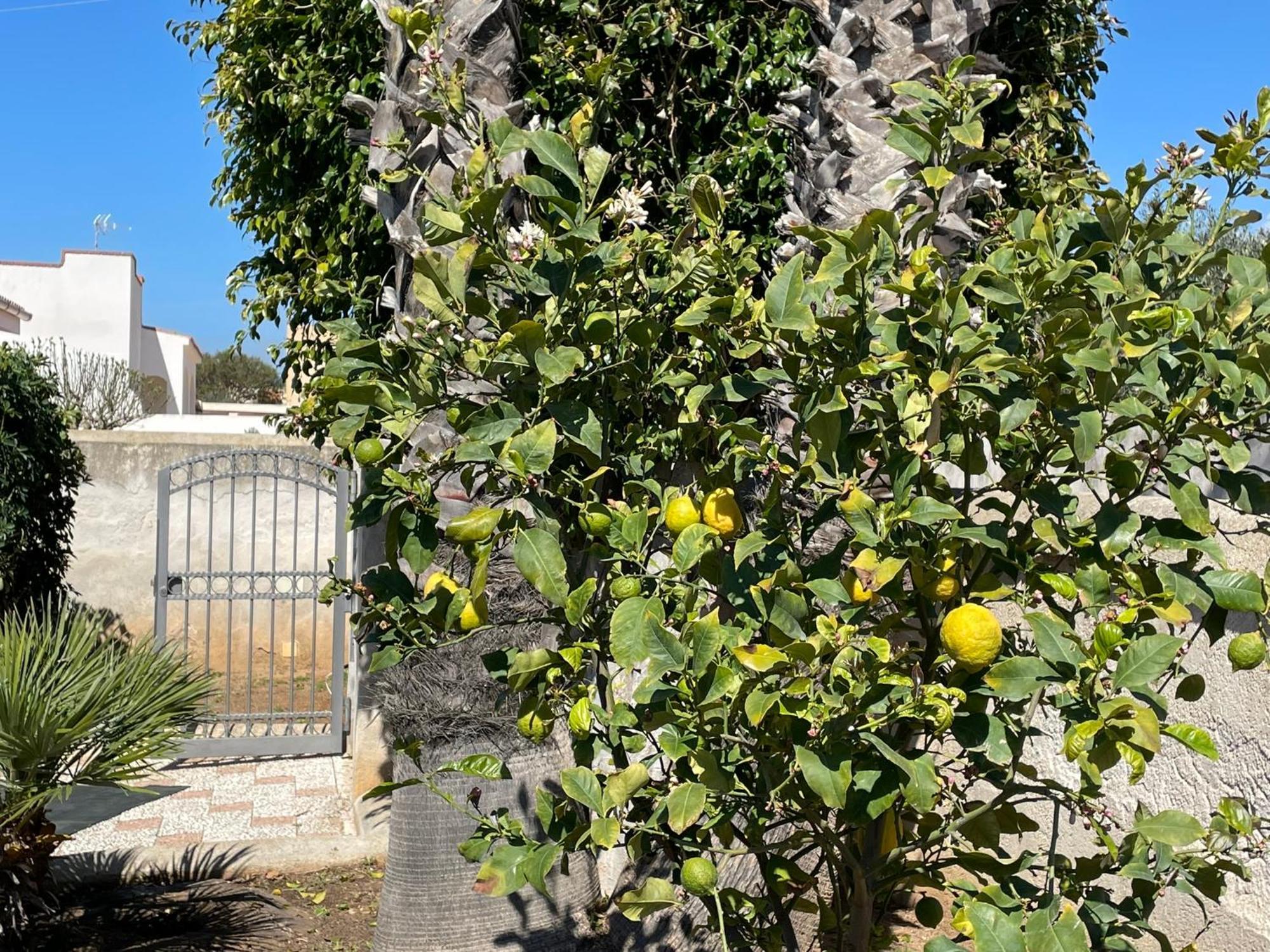 Villa Silvana 马扎拉德尔瓦洛 外观 照片